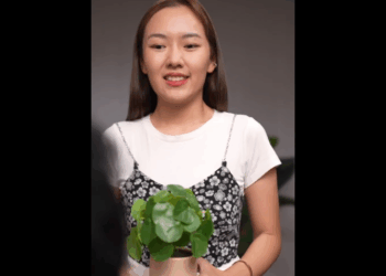 N2409006_ประกาศหาเม ยให กท เป นพ กาs ใครสนใจให าน_part2