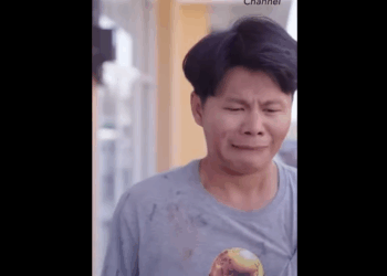 N1709044_Video_3967091160242798_part2