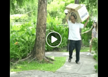 N0611061 ครอบคร วต วป วน part1