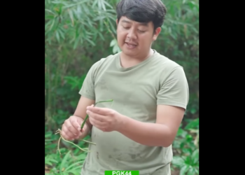 N3012071 แอบเก บทองท เหม อง ดท ายจะโดนเจ านายจ บได ไหม ตามไปด part2